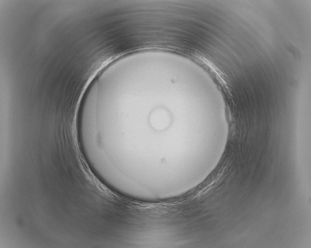 X0000115400892200912151518