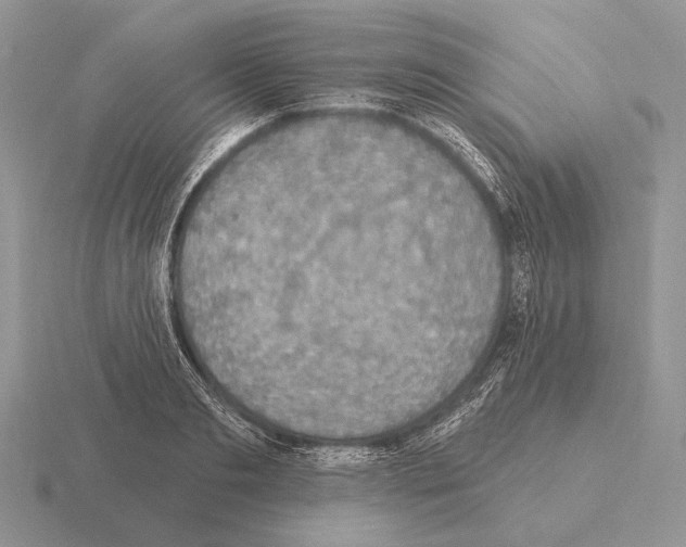 X0000115400893200912151518