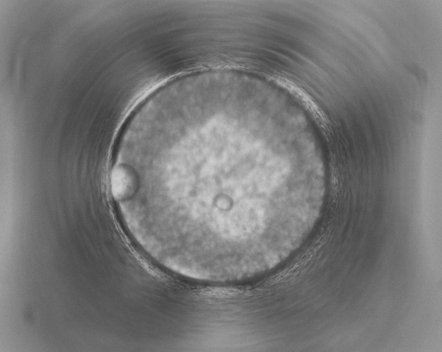 X0000115400894200912151518