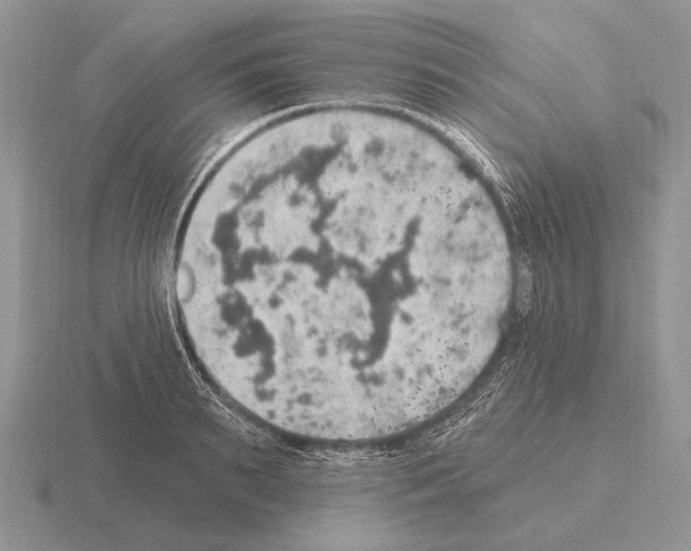 X0000115400895200912151518