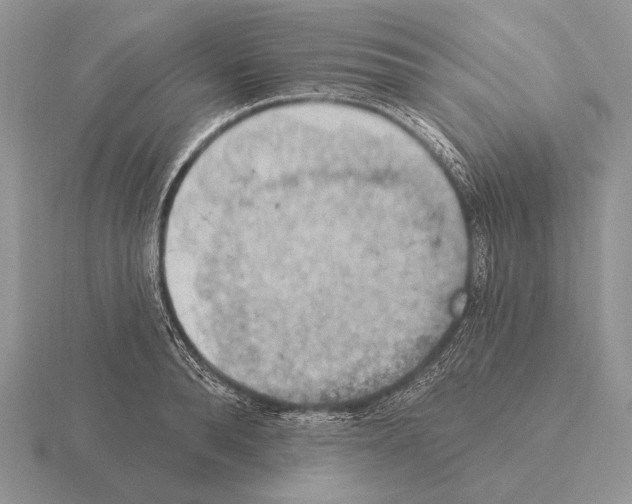 X0000115400896200912151518