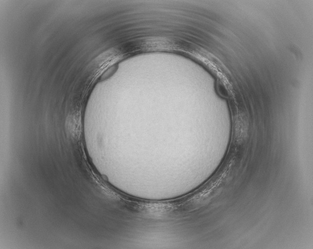 X0000115400897200912151518