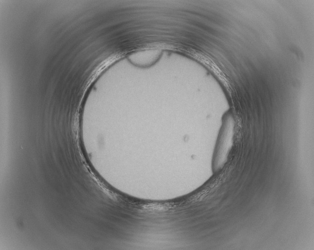 X0000115400898200912151518