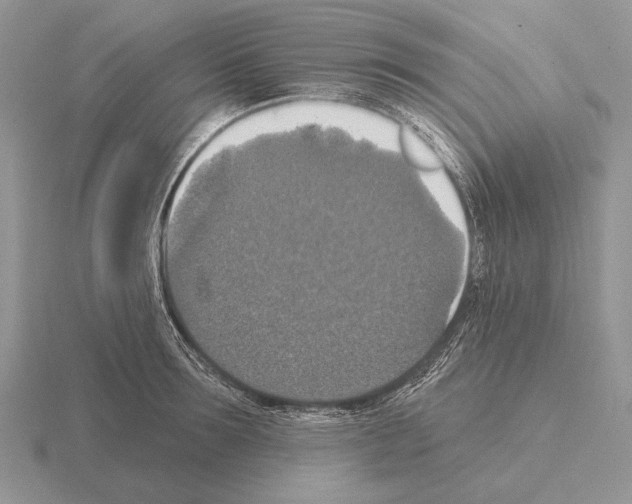 X0000115400899200912151518