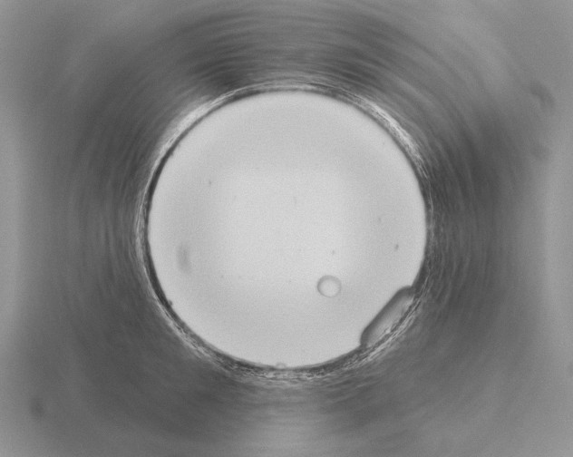 X0000115400901200912151518