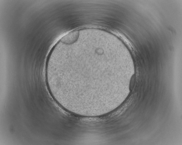 X0000115400902200912151518