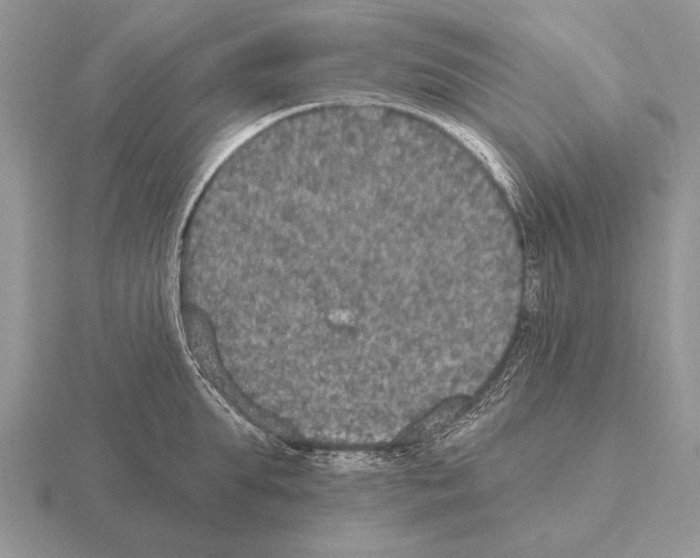 X0000115400903200912151518