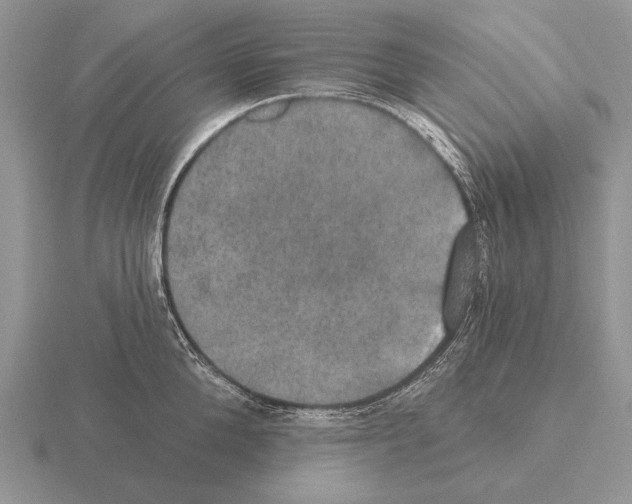 X0000115400904200912151518