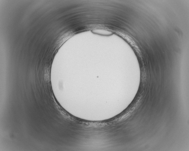 X0000115400905200912151518