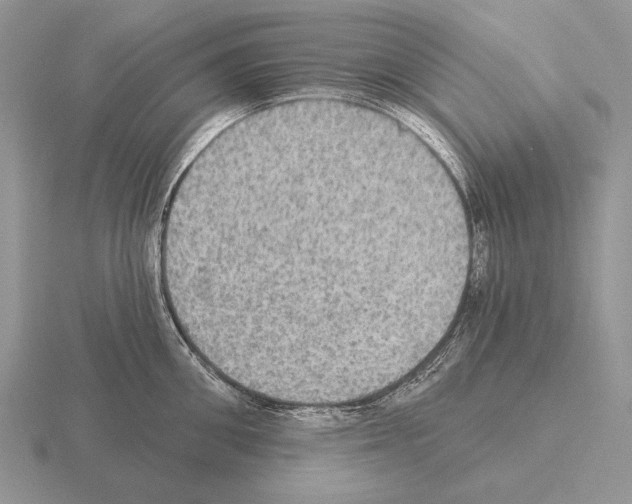 X0000115400906200912151518