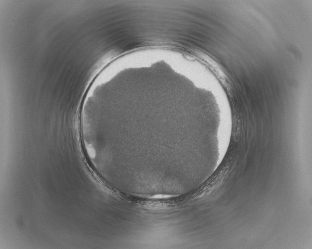 X0000115400907200912151518