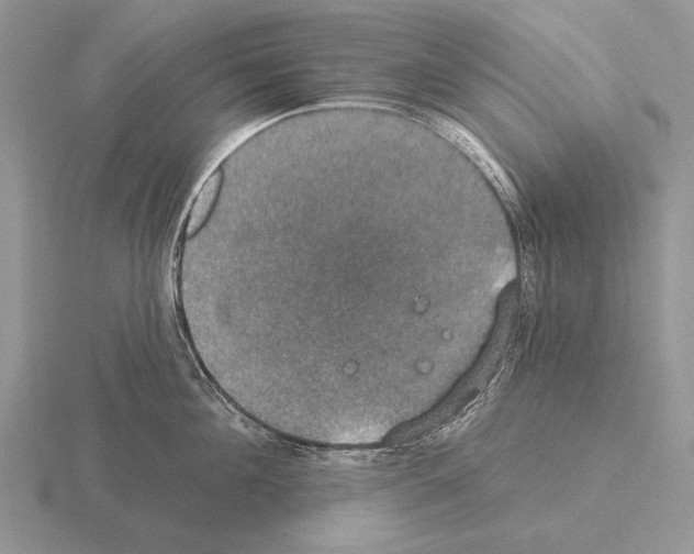 X0000115400908200912151518