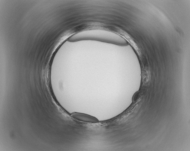 X0000115400909200912151518