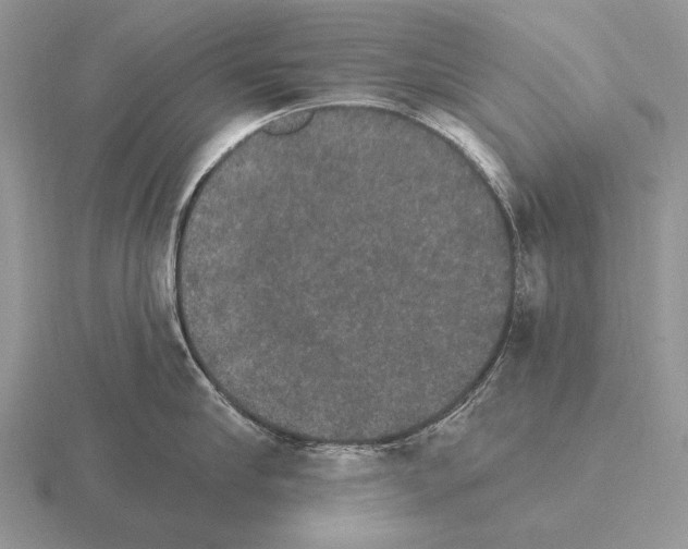 X0000115400910200912151518