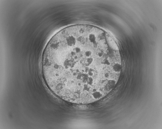 X0000115400911200912151518