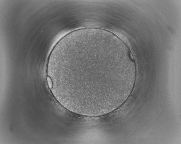 X0000115400912200912151518