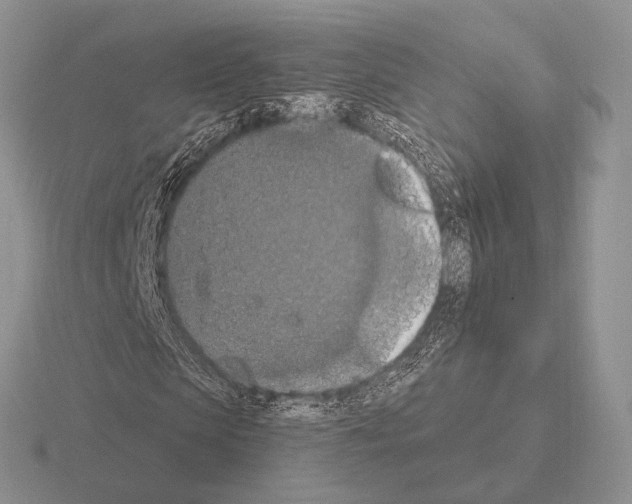 X0000115400913200912151517