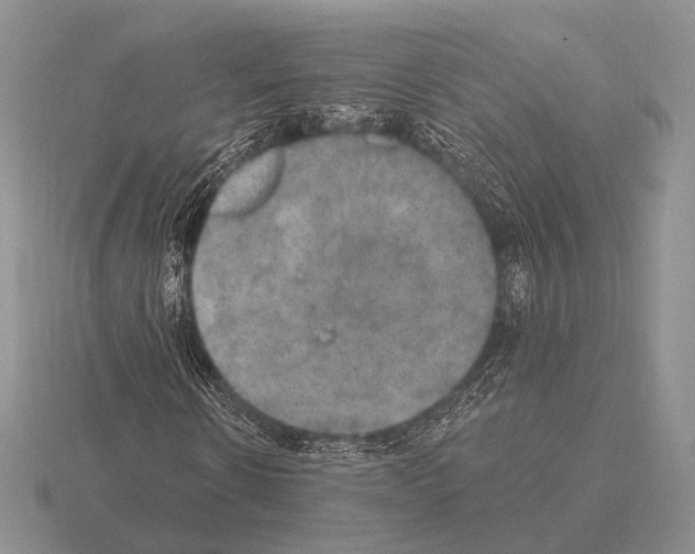 X0000115400914200912151517