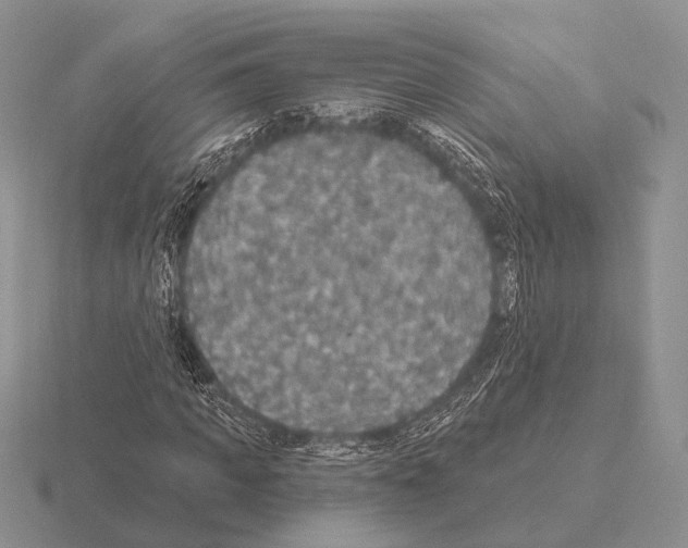 X0000115400917200912151517