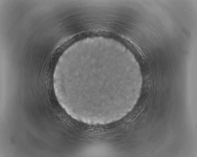 X0000115400919200912151517