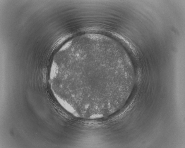 X0000115400921200912151517