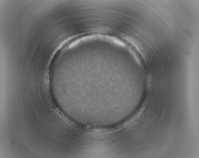 X0000115400923200912151517