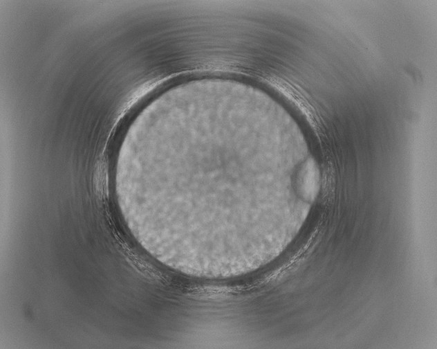 X0000115400925200912151517