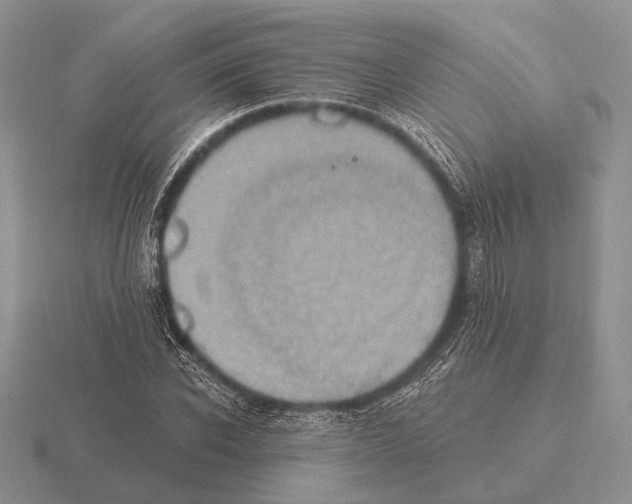 X0000115400926200912151517