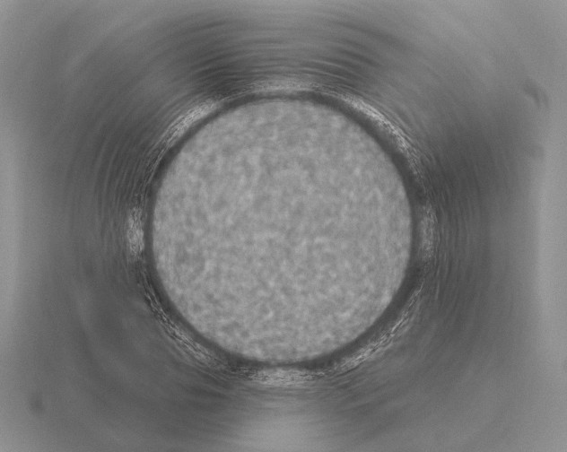 X0000115400929200912151517