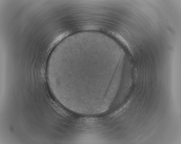 X0000115400930200912151517