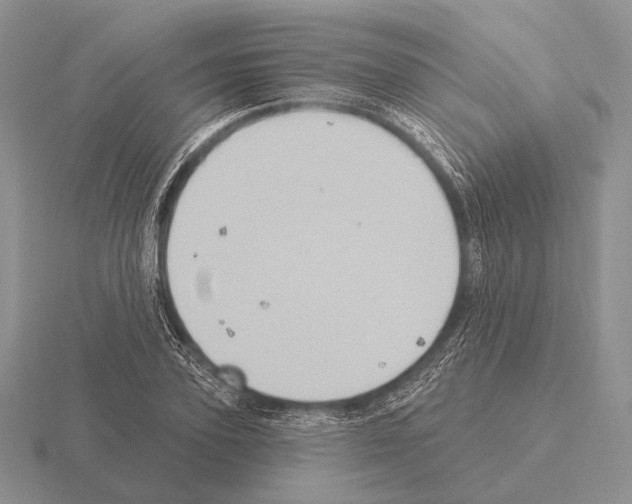 X0000115400931200912151517