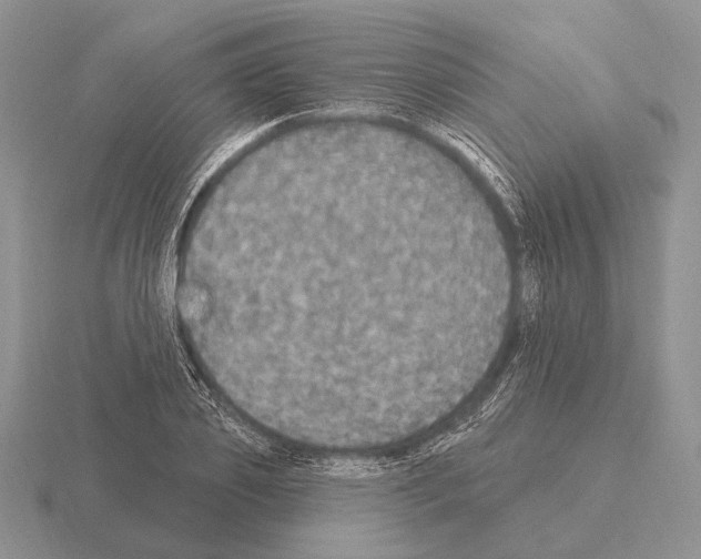 X0000115400933200912151517