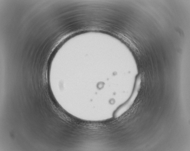 X0000115400934200912151517