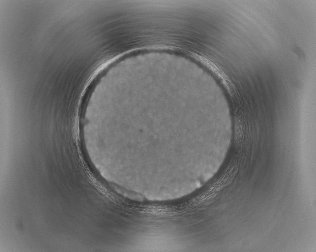 X0000115400935200912151517