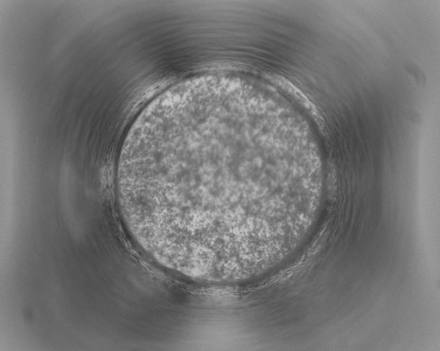 X0000115400937200912151517