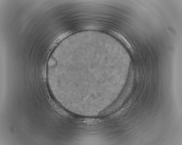 X0000115400938200912151517