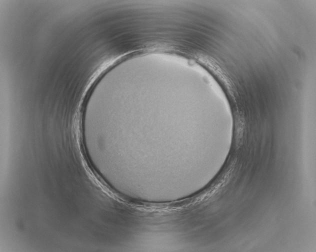 X0000115400941200912151518