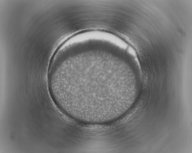 X0000115400943200912151518