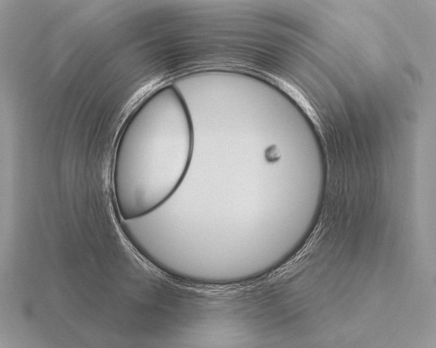 X0000115400946200912151518