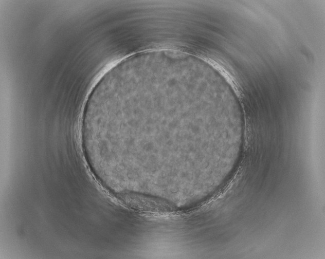 X0000115400949200912151518