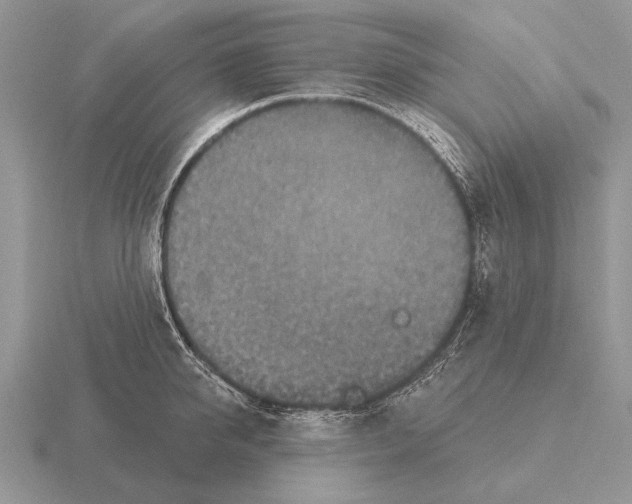 X0000115400950200912151518