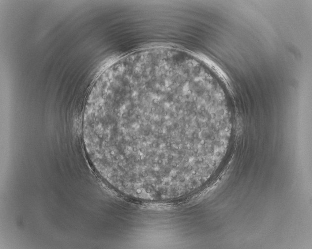 X0000115400953200912151518