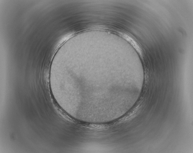 X0000115400954200912151518