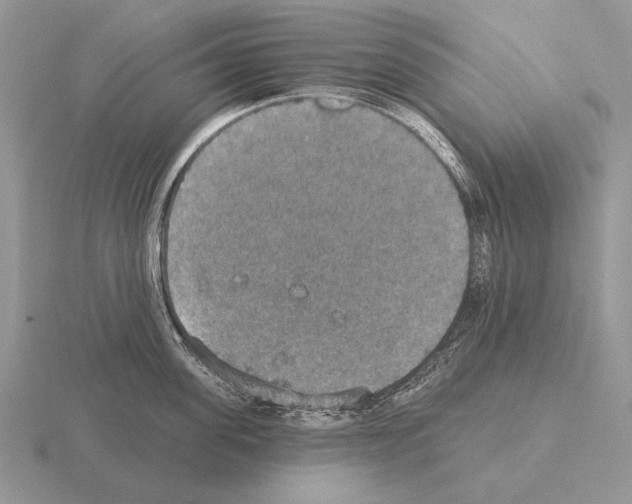 X0000115400955200912151518