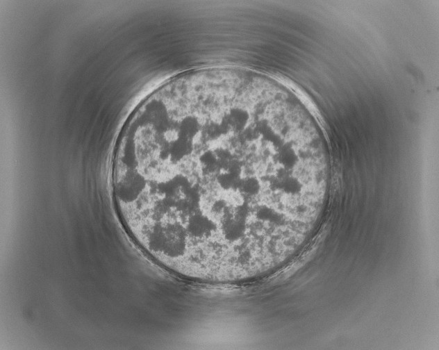 X0000115400957200912151518