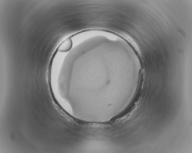 X0000115400958200912151518