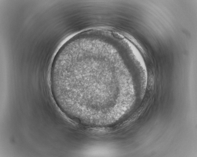 X0000115400959200912151518