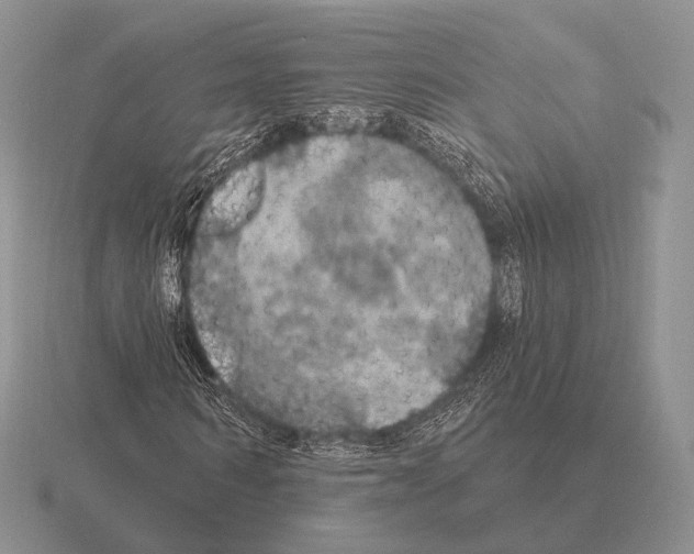 X0000115400962200912151517