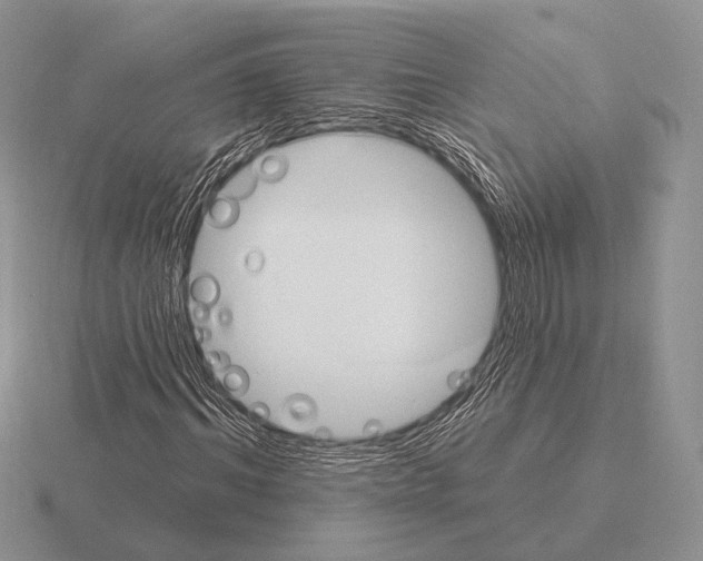 X0000115400964200912151517