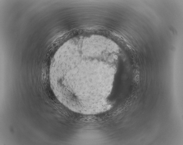 X0000115400966200912151517